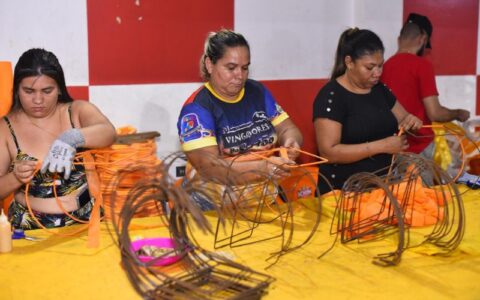 escolas-de-samba-passam-por-fi