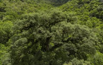 Instituições financeiras têm baixo desempenho em sustentabilidade