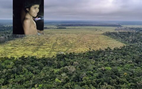 isolado-e-em-risco-a-urgencia-