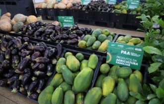 no-amazonas-inscricoes-para-o-