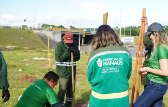 prefeitura-de-manaus-planta-50