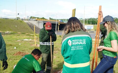 prefeitura-de-manaus-planta-50