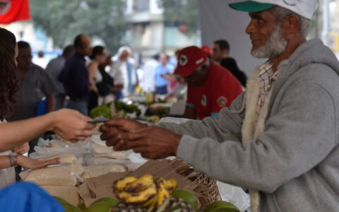 Programa Desenrola Rural entra em vigor nesta segunda-feira