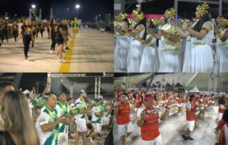 carnaval-na-floresta-2025-esco