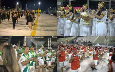 carnaval-na-floresta-2025-esco