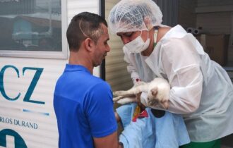 Castramóvel da Prefeitura de Manaus atende tutores de cães e gatos no Santa Etelvina