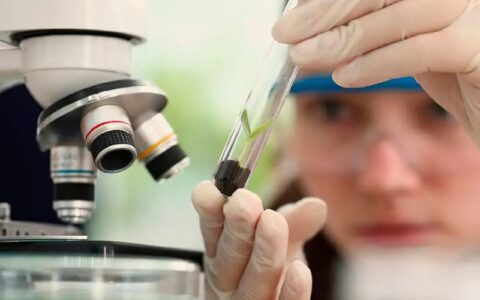 mulheres-e-ciencia-cnpq-premia
