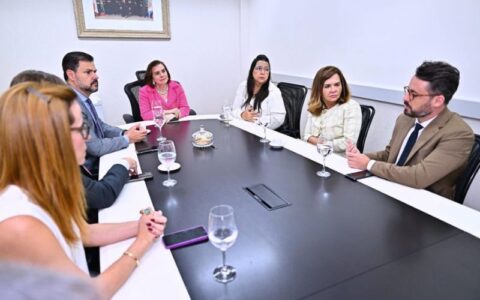 tce-am-e-ministerio-publico-fi