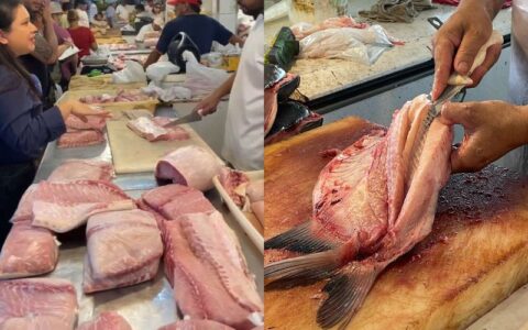 Saiba onde encontrar peixe mais em conta em Manaus durante a Quaresma