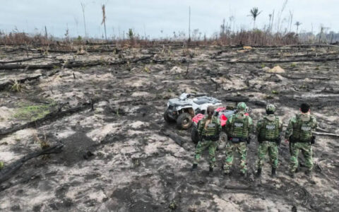 AGU cobra R$ 76 milhões de desmatadores em cinco biomas