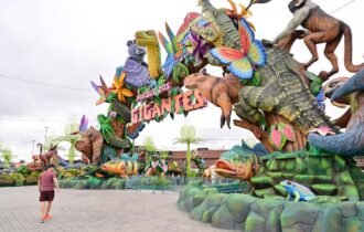 gigantes-da-floresta-atinge-3-