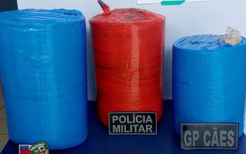 tonantins-policia-apreende-90-