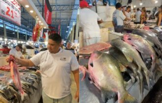 Defeso do tambaqui termina nesta terça no Amazonas