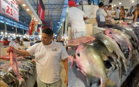 Defeso do tambaqui termina nesta terça no Amazonas