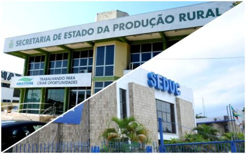 transportadora-de-guarulhos-sp