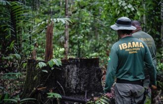 Senado discute emenda que libera porte de arma para fiscais ambientais de todo o país