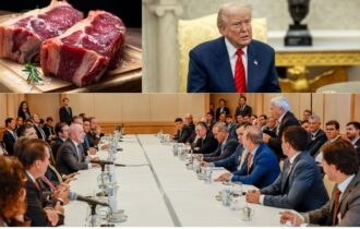 carne-bovina-abiec-observa-tar