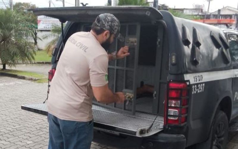 (Foto: Erlon Rodrigues e Divulgação/PC-AM) Homem é preso por crimes cometidos nas redes sociais