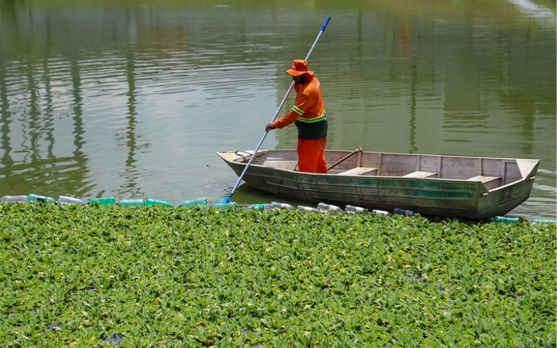 (Foto: Clóvis Miranda/Semcom) Manaus fica em 4° lugar entre as cidades mais sustentáveis do Norte