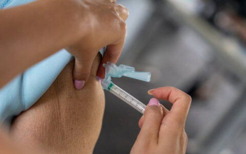 Ministério da Saúde pedirá incorporação da vacina contra Chikungunya no SUS