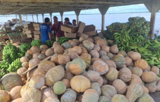 Operação Cheia 2025: Governo do Amazonas adquire 25 toneladas de alimentos em Manacapuru