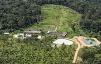 Operação do Ipaam, CPAmb e BPAmb aplica R$ 1,6 milhão em multas por crimes ambientais em Rio Preto da Eva