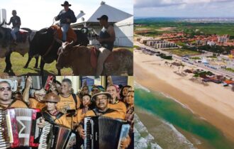os-desusos-retoricos-do-patrim