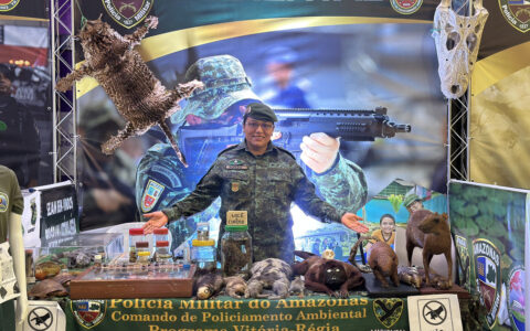 policia-militar-do-amazonas-de
