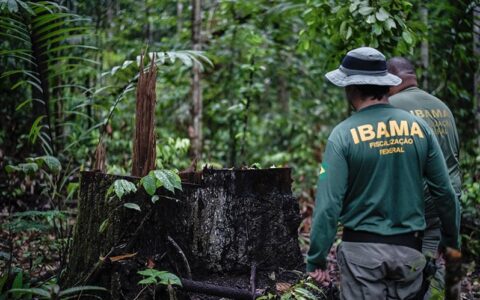 Senado discute emenda que libera porte de arma para fiscais ambientais de todo o país