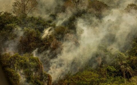 crise-climatica-pode-provocar-