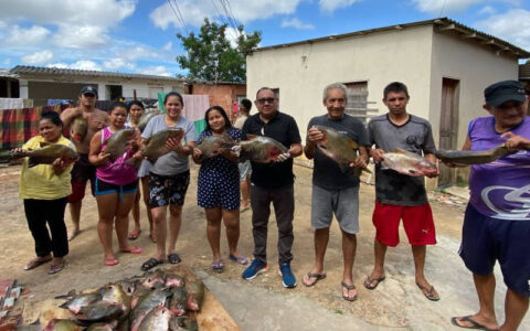 Governo do Amazonas entrega 2 toneladas de pescado para comunidades indígenas de Manaus