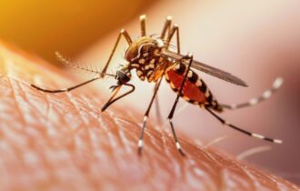 malaria-segue-como-ameaca-a-sa