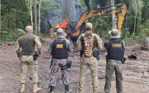 pf-combate-garimpo-ilegal-em-p