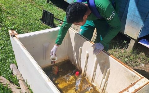 primeira-morte-por-dengue-e-co