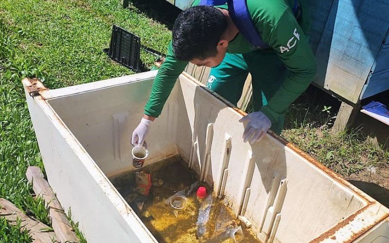 primeira-morte-por-dengue-e-co