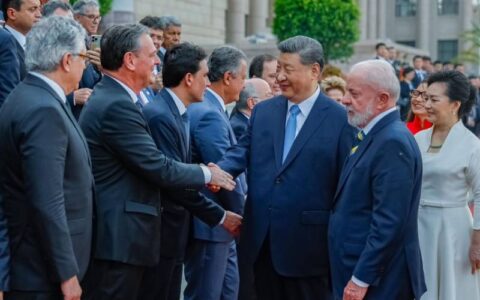 China abre cinco novos mercados para produtos do agro brasileiro e avança na cooperação sanitária e fitossanitária