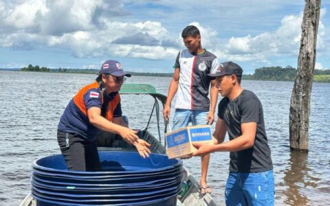 governo-do-amazonas-divulga-bo