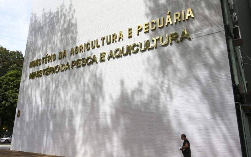governo-investiga-sete-casos-d