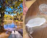 material-especial-garimpo-e-me