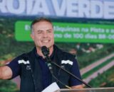 no-senado-renan-filho-deve-ser