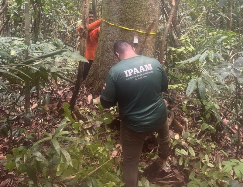 periodo-de-protecao-ambiental-
