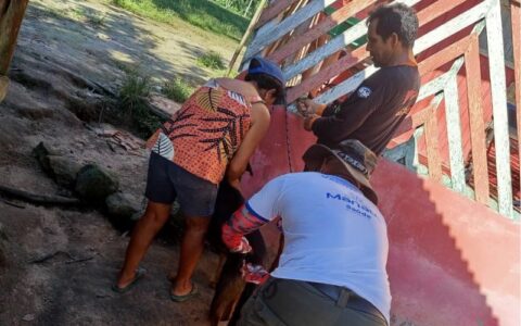 prefeitura-realiza-vacinacao-d