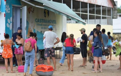 Sepet realiza castração de 300 animais em Barcelos