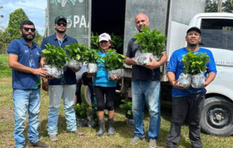 Sepror fomenta projeto-piloto de cafeicultura com base familiar em Rio Preto da Eva com 30 agricultores