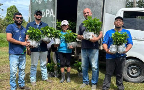 Sepror fomenta projeto-piloto de cafeicultura com base familiar em Rio Preto da Eva com 30 agricultores