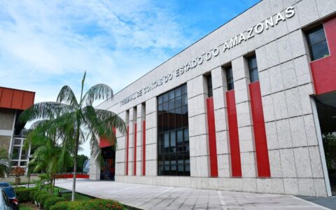 tce-am-julgara-50-processos-ne