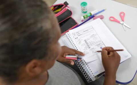 Três em cada 10 brasileiros são analfabetos funcionais