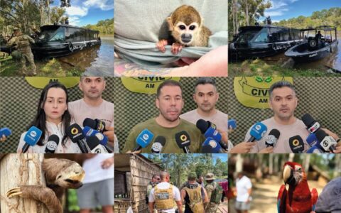 turismo-ilegal-com-animais-sil