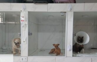 clinicas-veterinarias-devem-ob