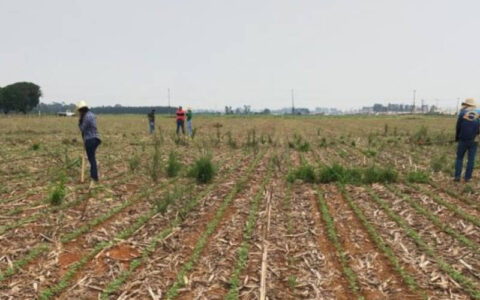 Evento, apoiado pelo Governo do Amazonas, sobre agricultura regenerativa da Amazônia Ocidental ocorre em Humaitá